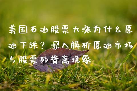 美国石油股票大涨为什么原油下跌？深入解析原油市场与股票的背离现象_https://cj006.lansai.wang_全球市场_第1张