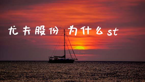尤夫股份 为什么st_https://cj006.lansai.wang_金融监管_第1张