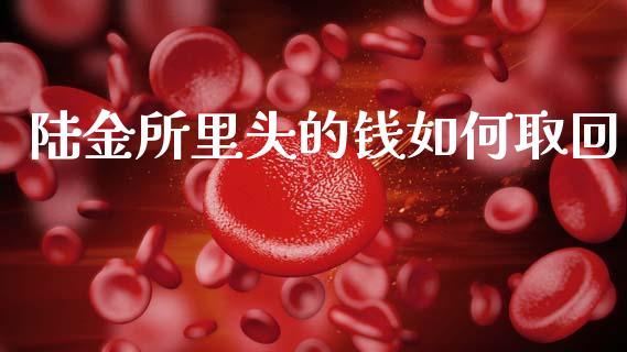 陆金所里头的钱如何取回_https://cj006.lansai.wang_财经新闻_第1张