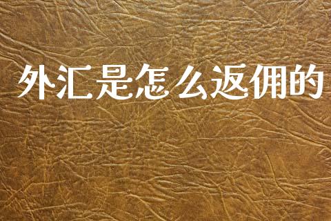 外汇是怎么返佣的_https://cj006.lansai.wang_债券资讯_第1张