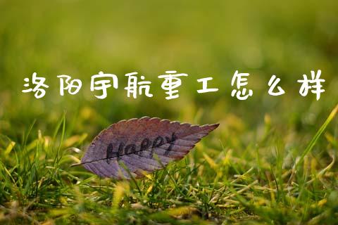 洛阳宇航重工怎么样_https://cj006.lansai.wang_金融监管_第1张