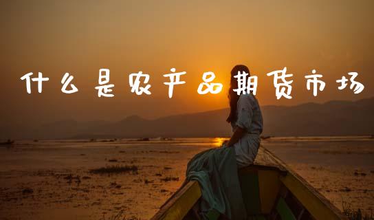 什么是农产品期货市场_https://cj006.lansai.wang_债券资讯_第1张