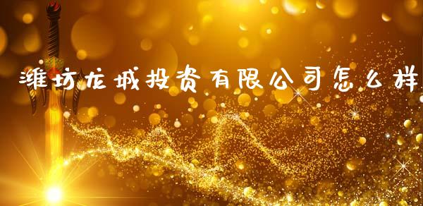 潍坊龙城投资有限公司怎么样_https://cj006.lansai.wang_债券资讯_第1张