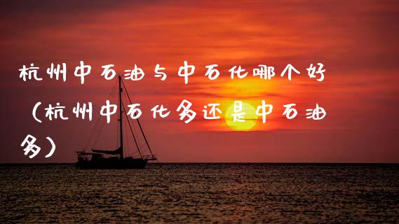 杭州中石油与中石化哪个好（杭州中石化多还是中石油多）_https://cj006.lansai.wang_期货开户_第1张