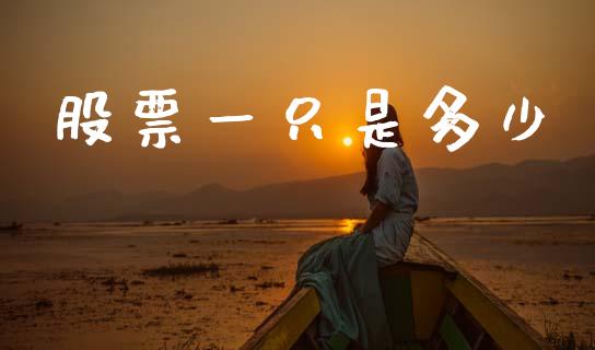股票一只是多少_https://cj006.lansai.wang_金融监管_第1张