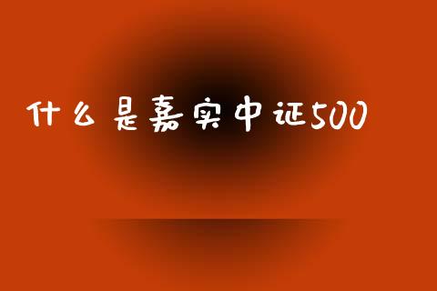 什么是嘉实中证500_https://cj006.lansai.wang_债券资讯_第1张