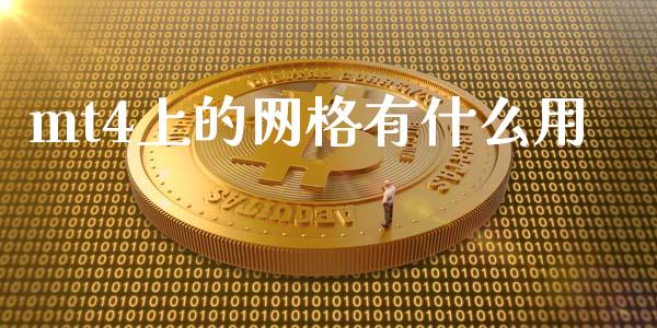 mt4上的网格有什么用_https://cj006.lansai.wang_全球市场_第1张