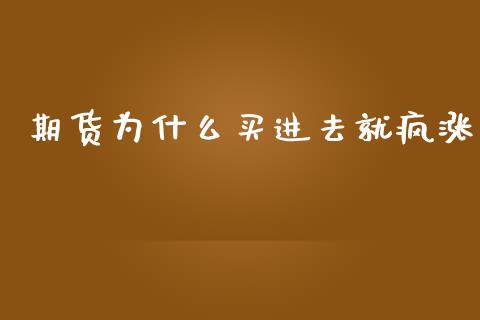 期货为什么买进去就疯涨_https://cj006.lansai.wang_金融监管_第1张