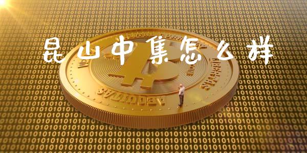 昆山中集怎么样_https://cj006.lansai.wang_债券资讯_第1张