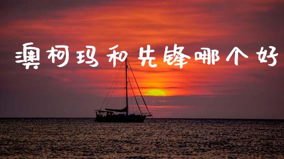 澳柯玛和先锋哪个好_https://cj006.lansai.wang_期货开户_第1张
