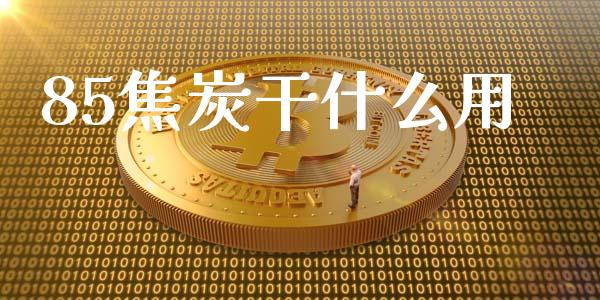 85焦炭干什么用_https://cj006.lansai.wang_期货开户_第1张
