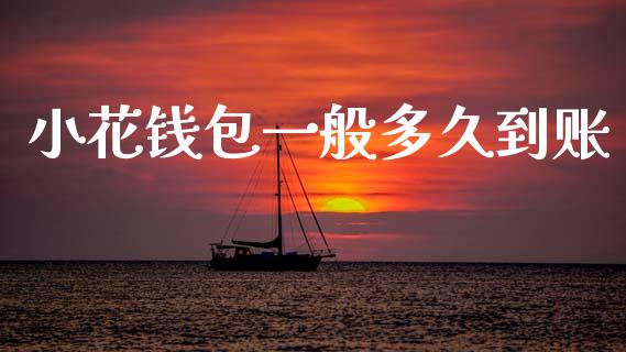 小花钱包一般多久到账_https://cj006.lansai.wang_全球市场_第1张