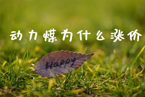 动力煤为什么涨价_https://cj006.lansai.wang_债券资讯_第1张