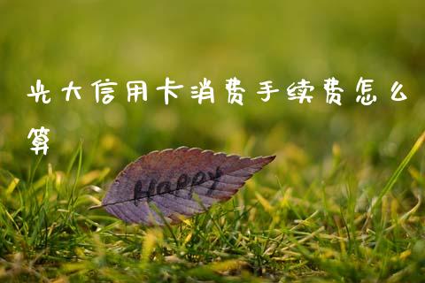光大信用卡消费手续费怎么算_https://cj006.lansai.wang_全球市场_第1张