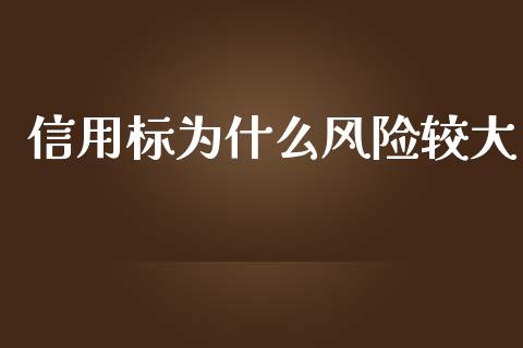 信用标为什么风险较大_https://cj006.lansai.wang_财经新闻_第1张
