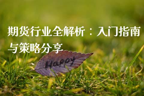 期货行业全解析：入门指南与策略分享_https://cj006.lansai.wang_金融监管_第1张