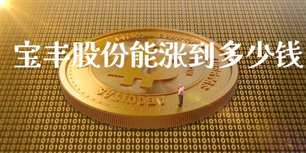 宝丰股份能涨到多少钱_https://cj006.lansai.wang_期货开户_第1张
