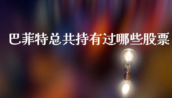 巴菲特总共持有过哪些股票_https://cj006.lansai.wang_期货开户_第1张