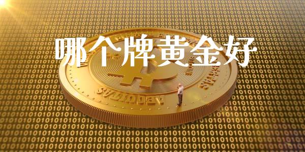 哪个牌黄金好_https://cj006.lansai.wang_期货开户_第1张