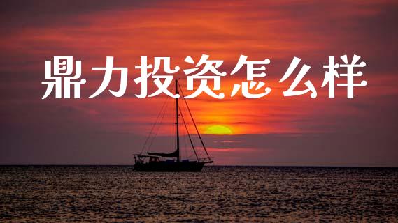 鼎力投资怎么样_https://cj006.lansai.wang_期货开户_第1张
