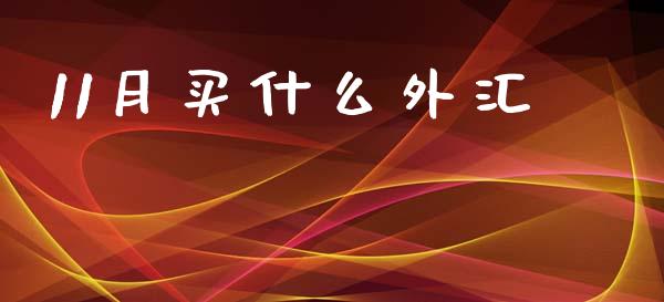 11月买什么外汇_https://cj006.lansai.wang_期货开户_第1张