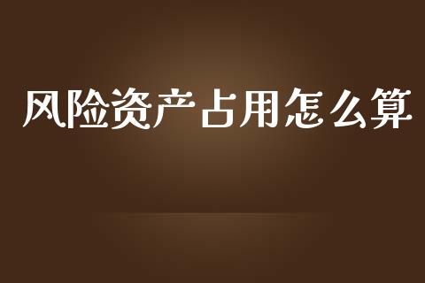风险资产占用怎么算_https://cj006.lansai.wang_外汇交易_第1张