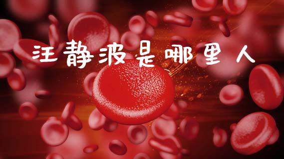 汪静波是哪里人_https://cj006.lansai.wang_期货开户_第1张
