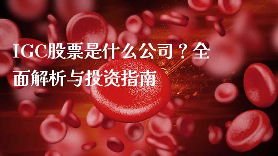 IGC股票是什么公司？全面解析与投资指南_https://cj006.lansai.wang_全球市场_第1张