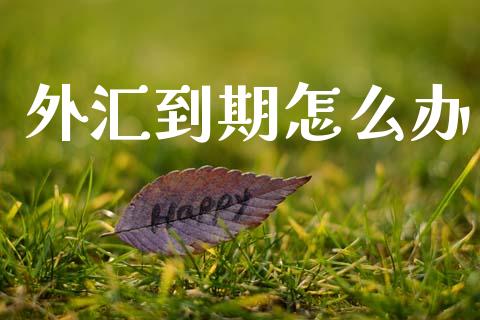 外汇到期怎么办_https://cj006.lansai.wang_金融监管_第1张