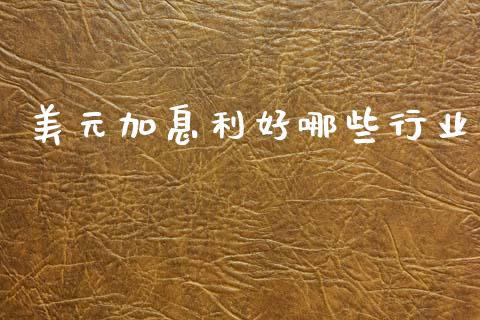 美元加息利好哪些行业_https://cj006.lansai.wang_外汇交易_第1张