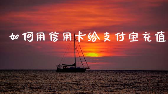 如何用信用卡给支付宝充值_https://cj006.lansai.wang_全球市场_第1张
