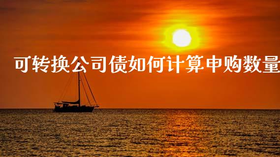 可转换公司债如何计算申购数量_https://cj006.lansai.wang_财经新闻_第1张