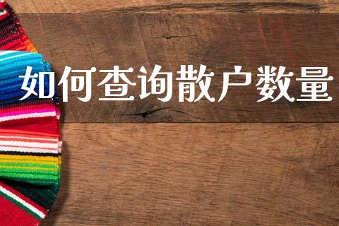如何查询散户数量_https://cj006.lansai.wang_债券资讯_第1张