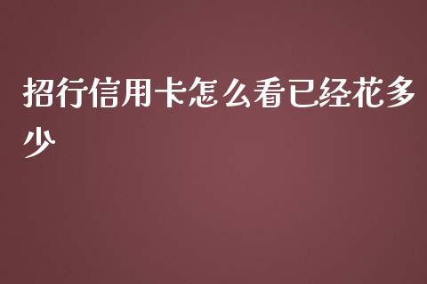 招行信用卡怎么看已经花多少_https://cj006.lansai.wang_金融监管_第1张