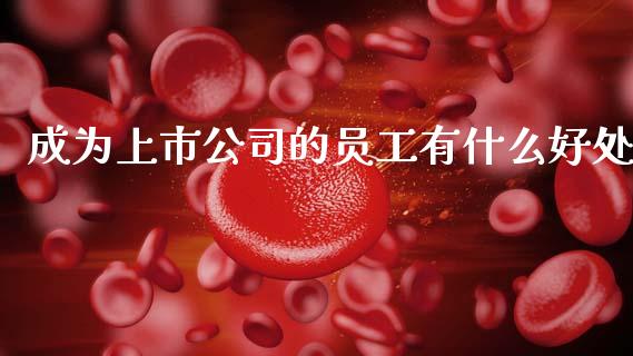 成为上市公司的员工有什么好处_https://cj006.lansai.wang_财经新闻_第1张