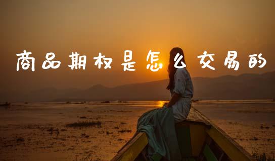 商品期权是怎么交易的_https://cj006.lansai.wang_外汇交易_第1张