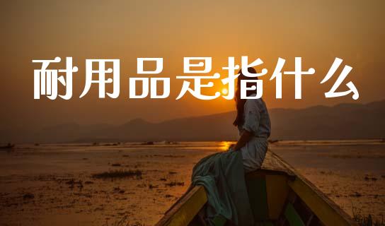 耐用品是指什么_https://cj006.lansai.wang_财经新闻_第1张