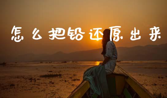 怎么把铅还原出来_https://cj006.lansai.wang_债券资讯_第1张