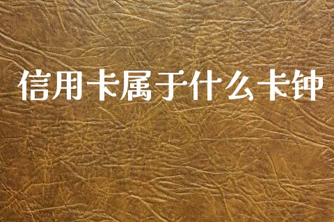信用卡属于什么卡钟_https://cj006.lansai.wang_期货开户_第1张