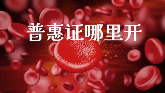普惠证哪里开_https://cj006.lansai.wang_债券资讯_第1张