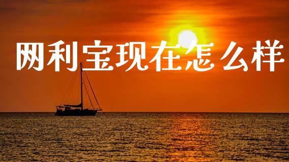 网利宝现在怎么样_https://cj006.lansai.wang_外汇交易_第1张