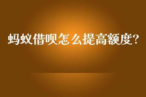 蚂蚁借呗怎么提高额度?_https://cj006.lansai.wang_金融监管_第1张