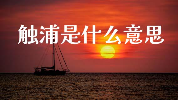 触浦是什么意思_https://cj006.lansai.wang_债券资讯_第1张