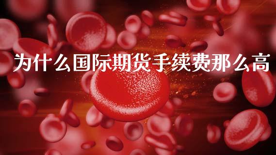 为什么国际期货手续费那么高_https://cj006.lansai.wang_财经新闻_第1张