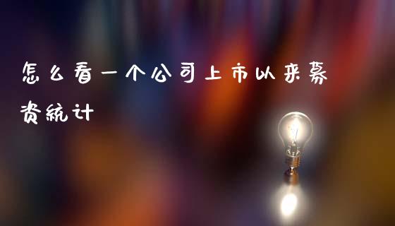 怎么看一个公司上市以来募资统计_https://cj006.lansai.wang_债券资讯_第1张