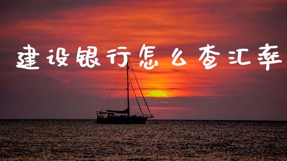 建设银行怎么查汇率_https://cj006.lansai.wang_期货开户_第1张
