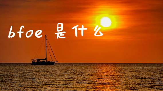 bfoe 是什么_https://cj006.lansai.wang_财经新闻_第1张