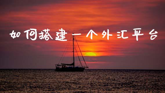 如何搭建一个外汇平台_https://cj006.lansai.wang_期货开户_第1张