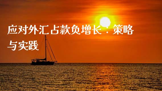 应对外汇占款负增长：策略与实践_https://cj006.lansai.wang_期货开户_第1张