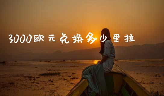 3000欧元兑换多少里拉_https://cj006.lansai.wang_金融监管_第1张